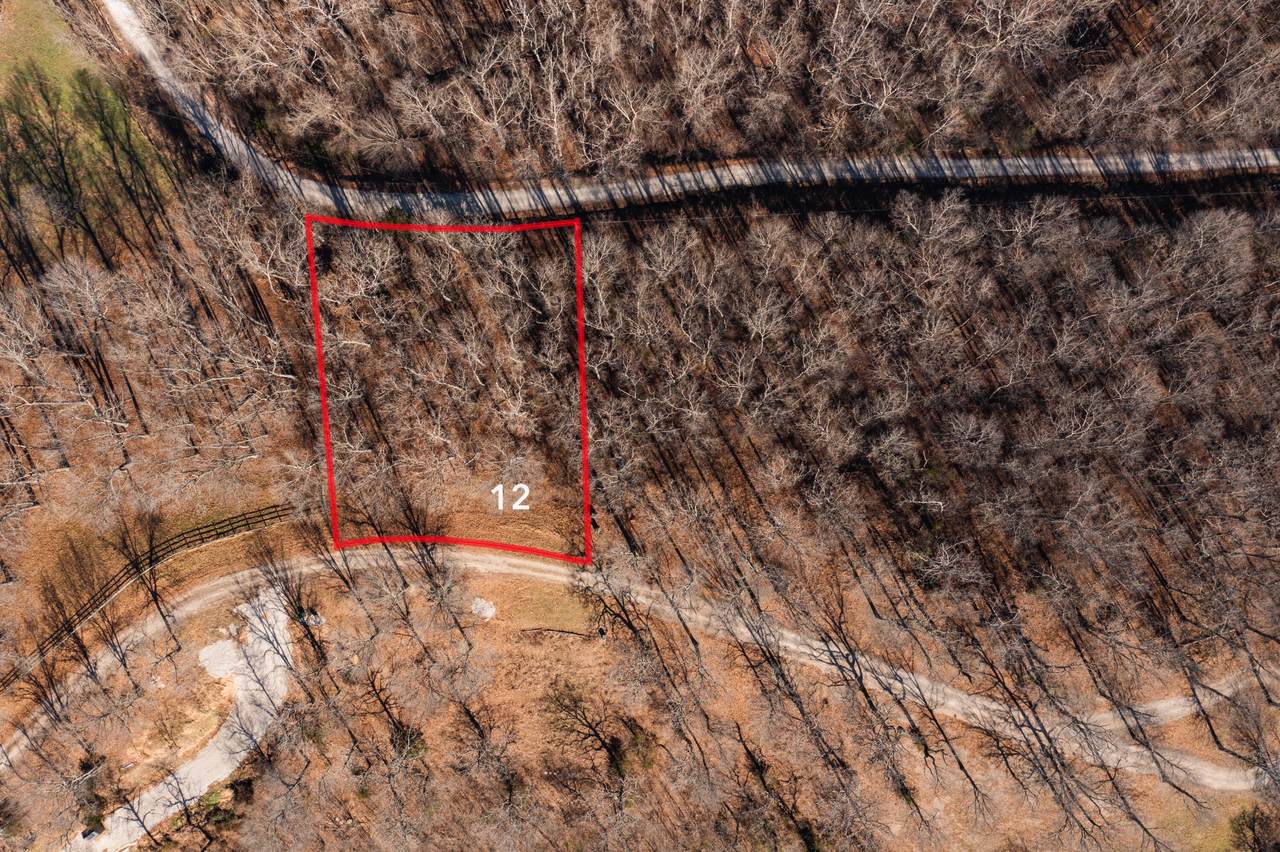 233 Cliffside Drive - Photo 1