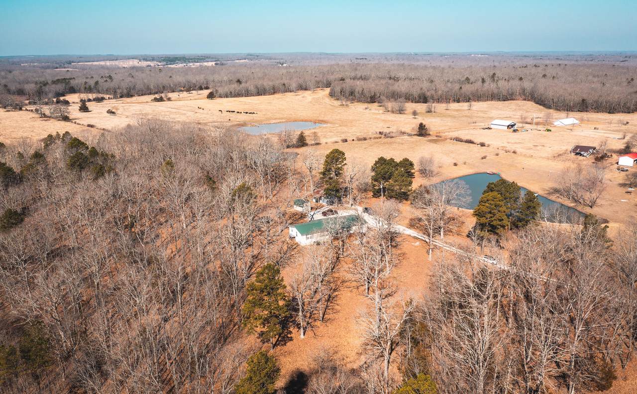 1197 Highway 119 - Photo 1