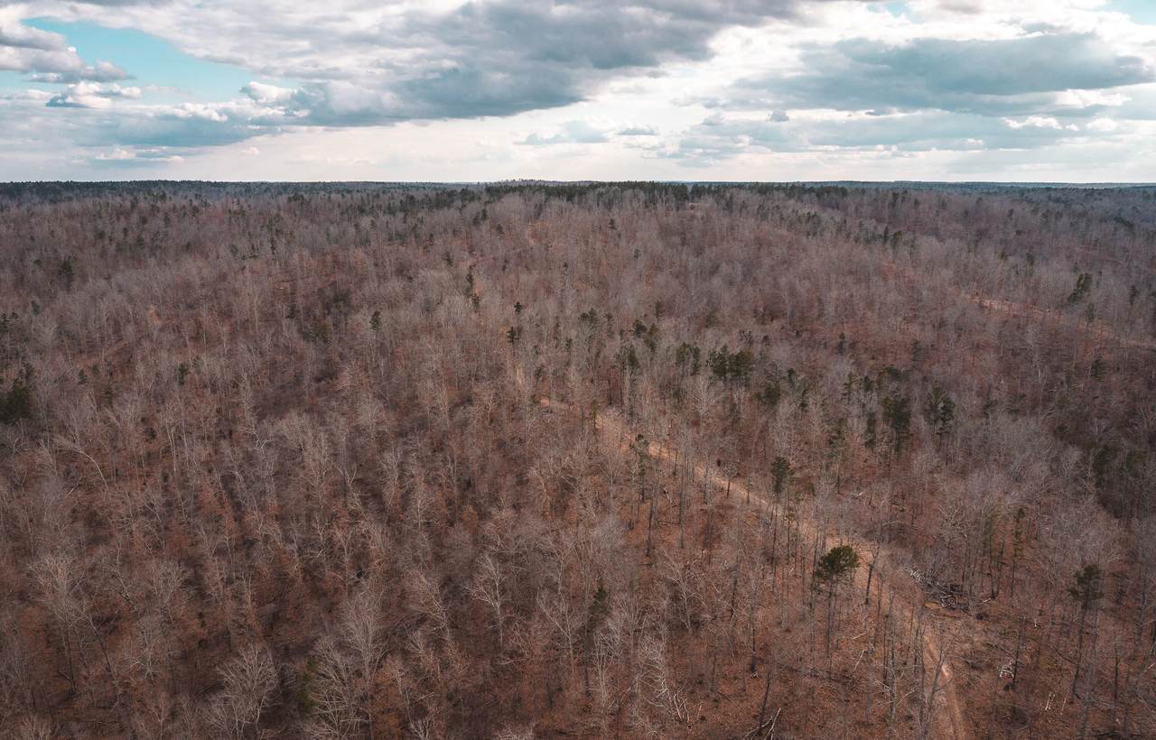 000 Ashley Creek-Tract 6 - Photo 1