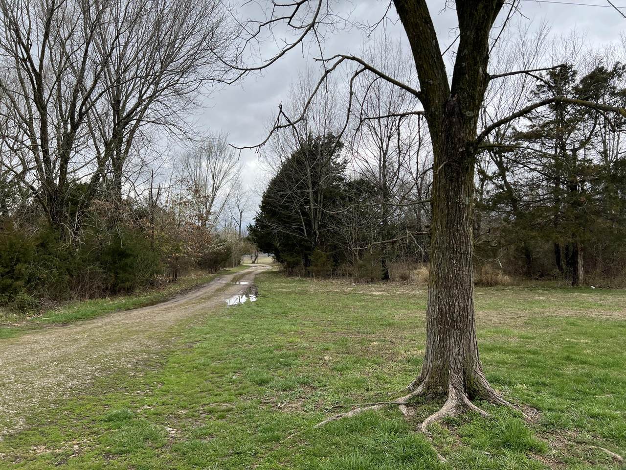 26 Glass Trail - Photo 1