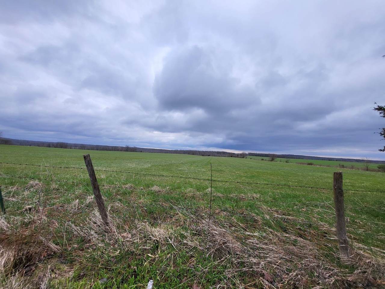 Tbd Gravel Point Road - Photo 1