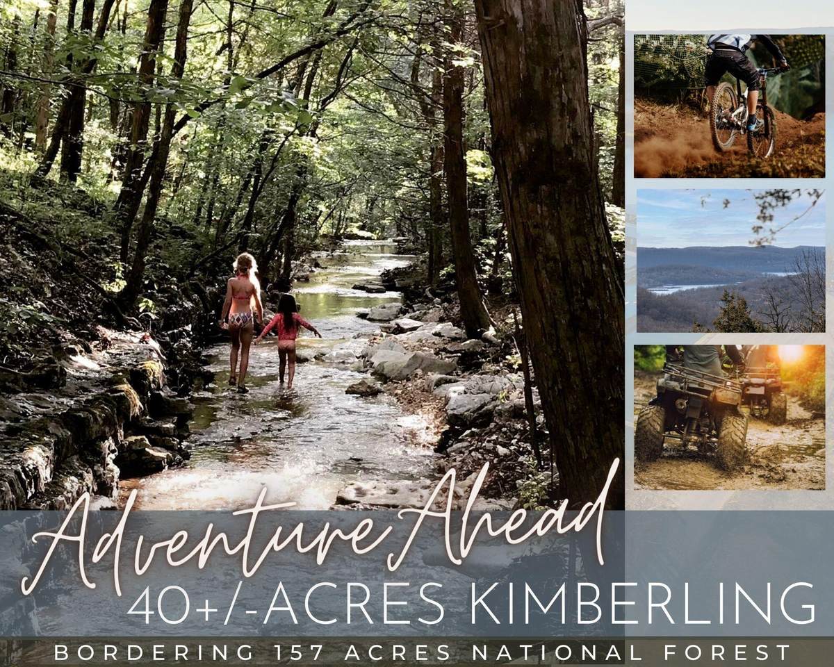 41 Acres Northwoods Drive - Photo 1