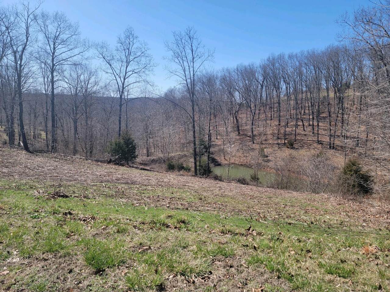 Lot 12 Woods Ridge Drive - Photo 1