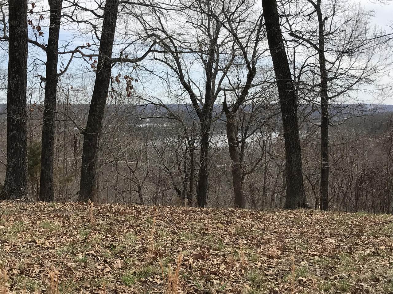 Lot 13-14 Rose Hill Lane - Photo 1