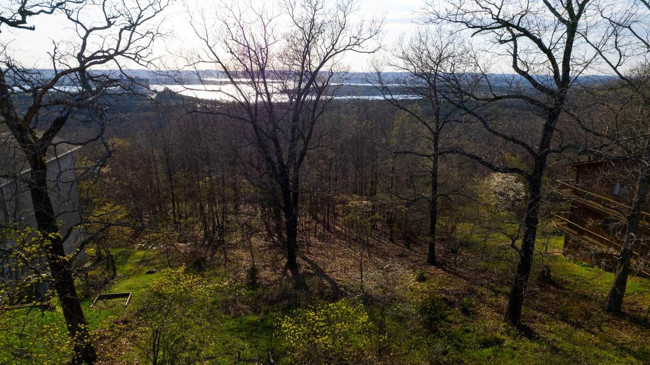 Tbd Skyview Drive - Photo 1