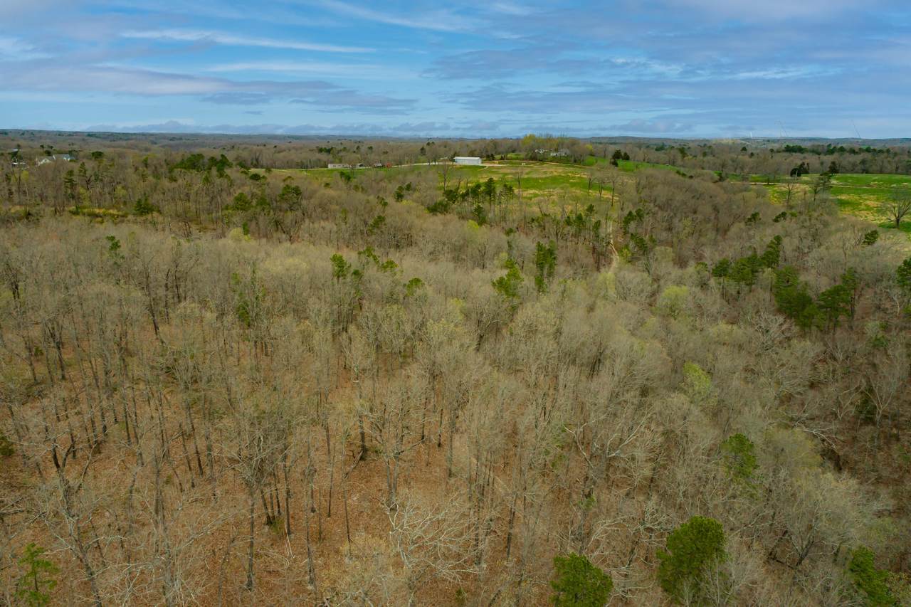 14082 Old Springfield Road - Photo 1