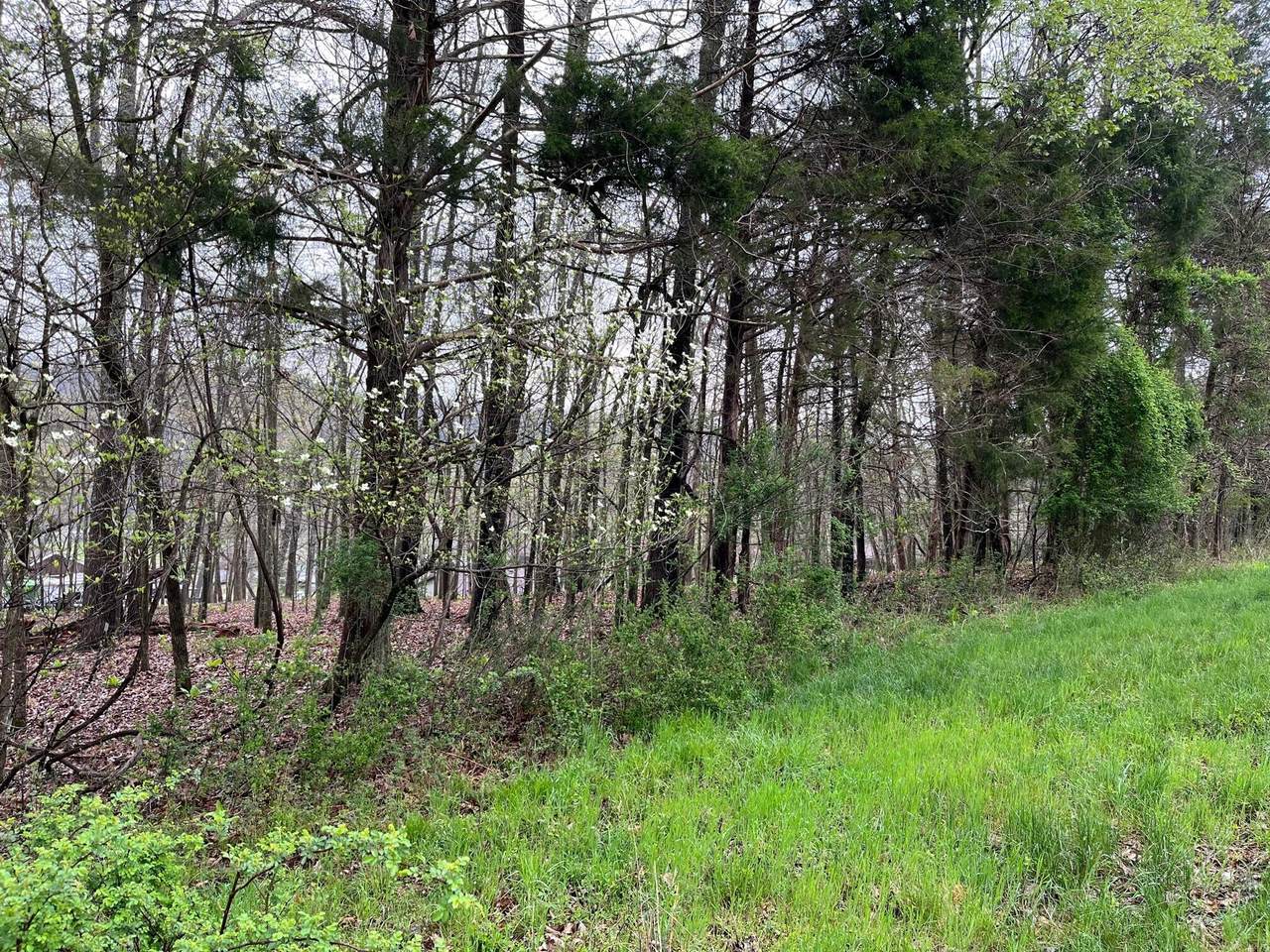 000 Thomas Trail - Photo 1