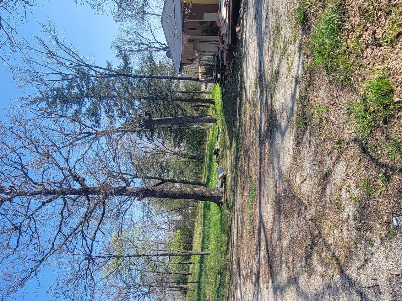 341 Julie Lane - Photo 1