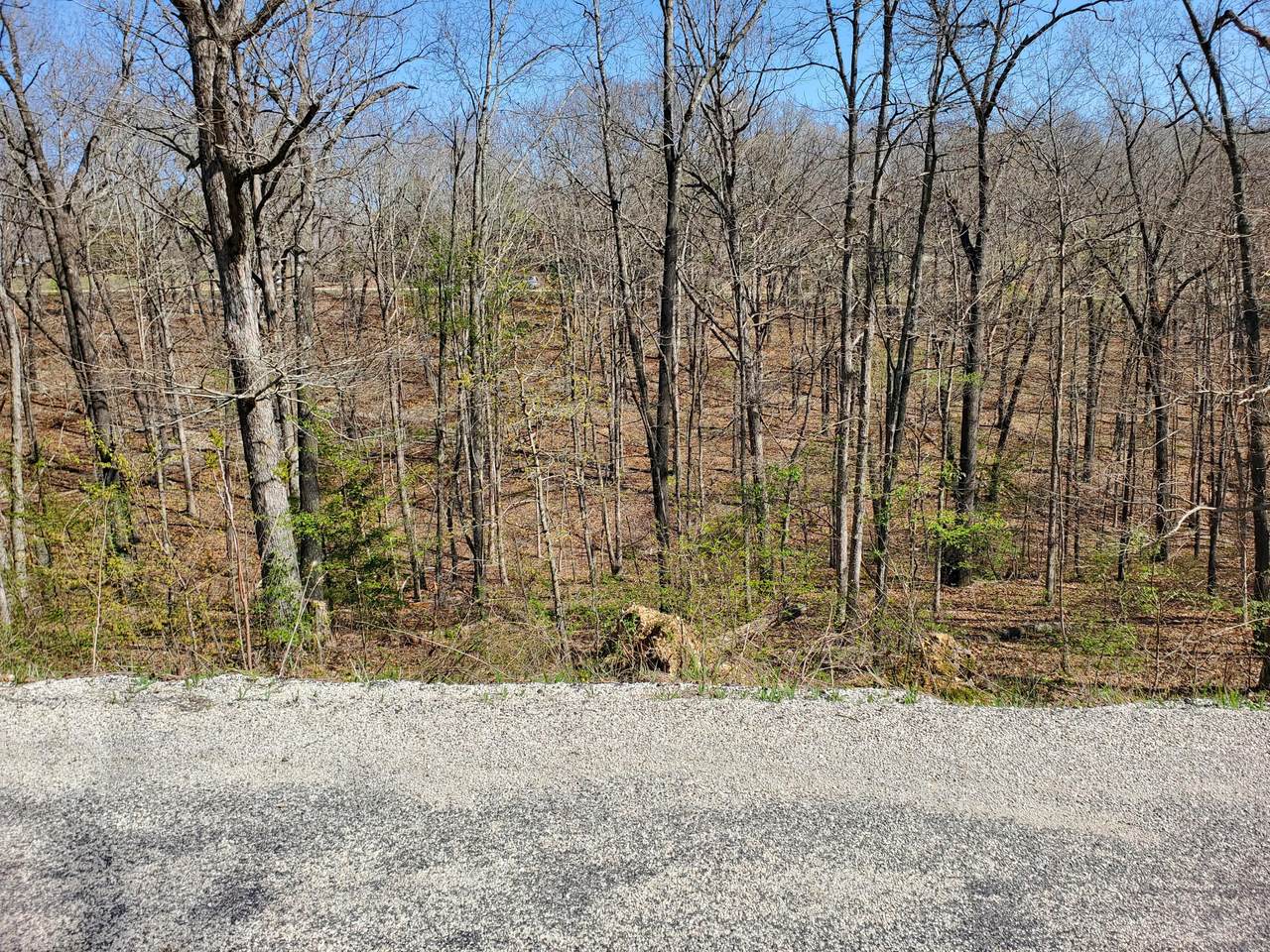 Lt 18 Entry Road - Photo 1