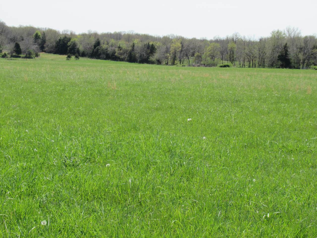 4021 62nd Road - Photo 1