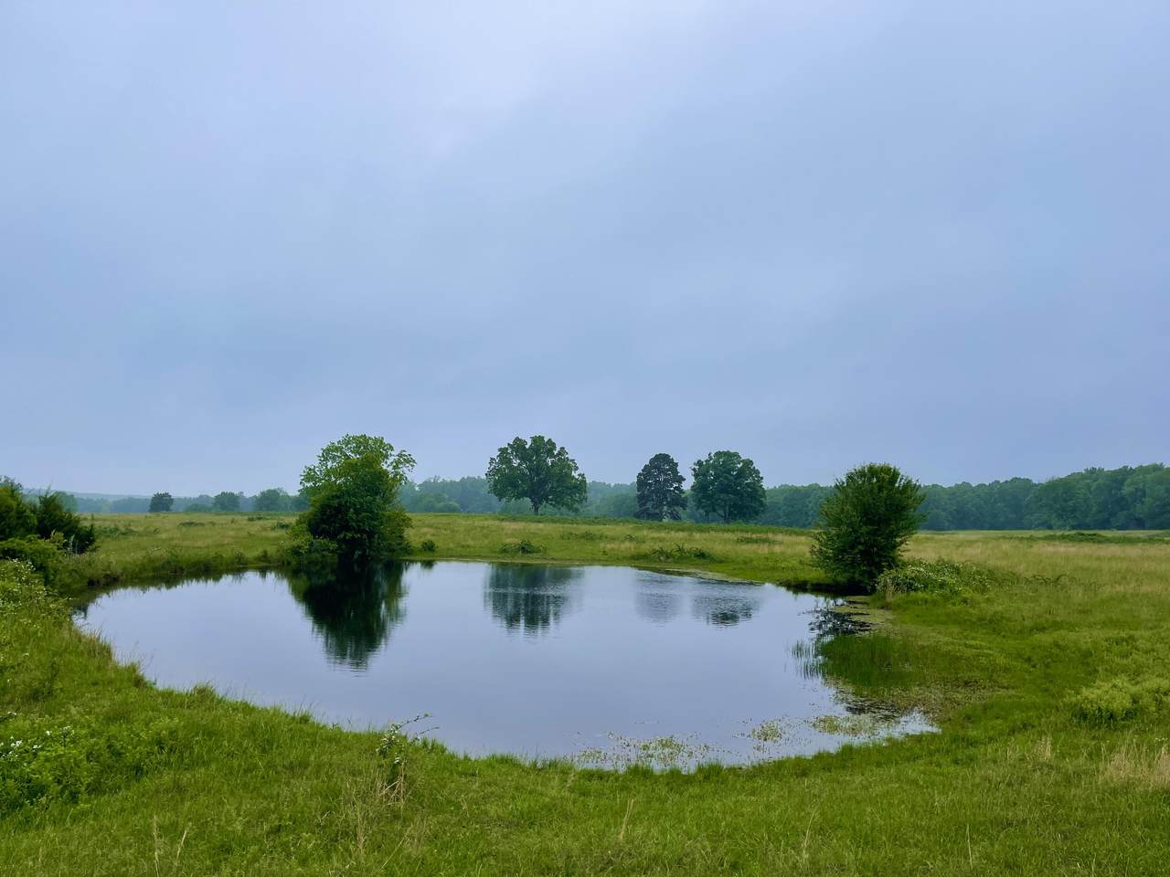 000 County Road 4280 - Photo 1
