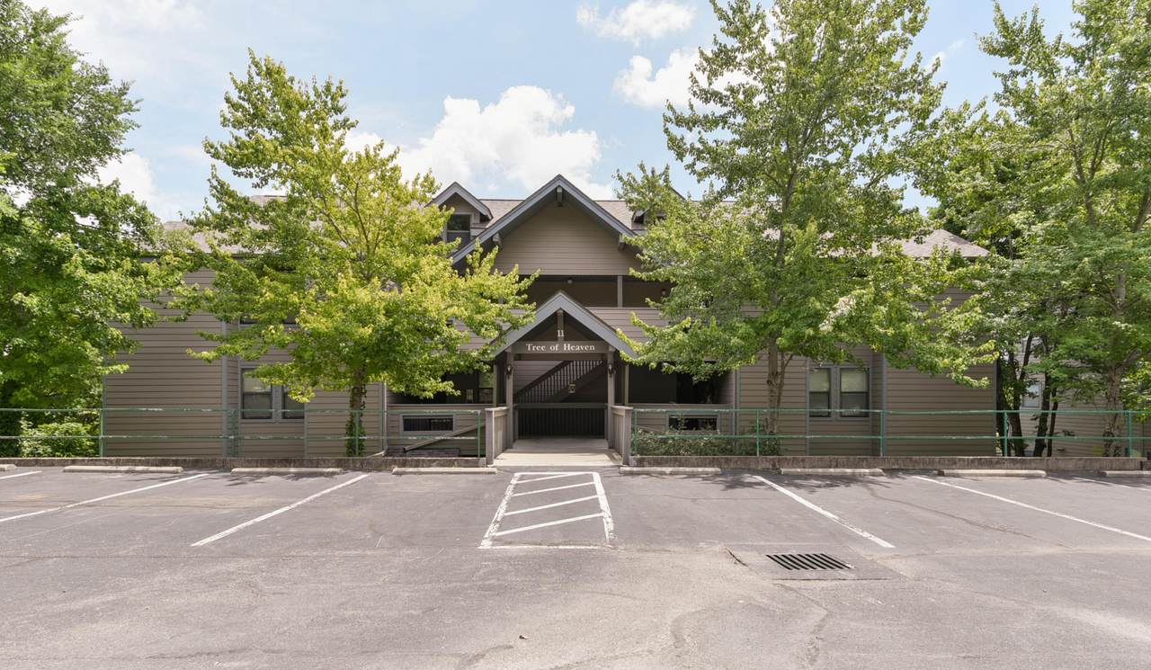 11 Treehouse Lane - Photo 1