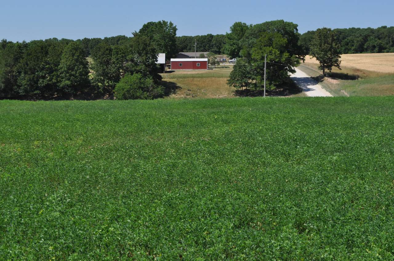 2128 Tall Grass Road - Photo 1