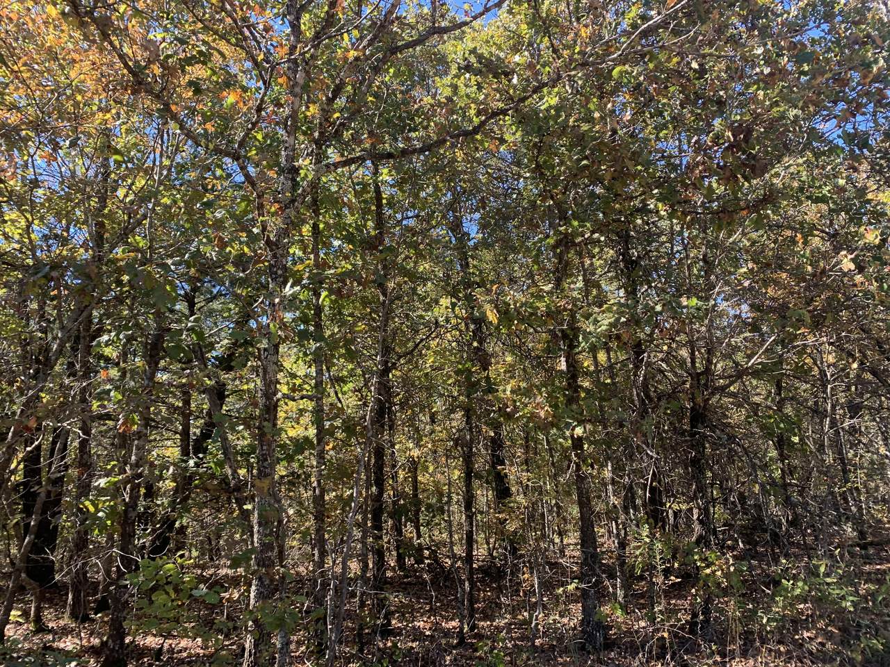 000 Nubbin Ridge Road - Photo 1