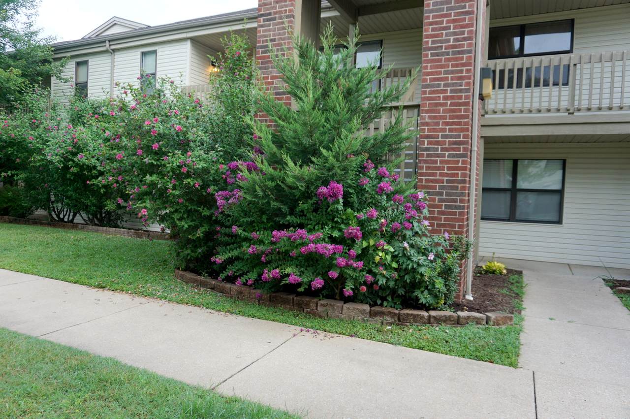 169 Highland Drive - Photo 1