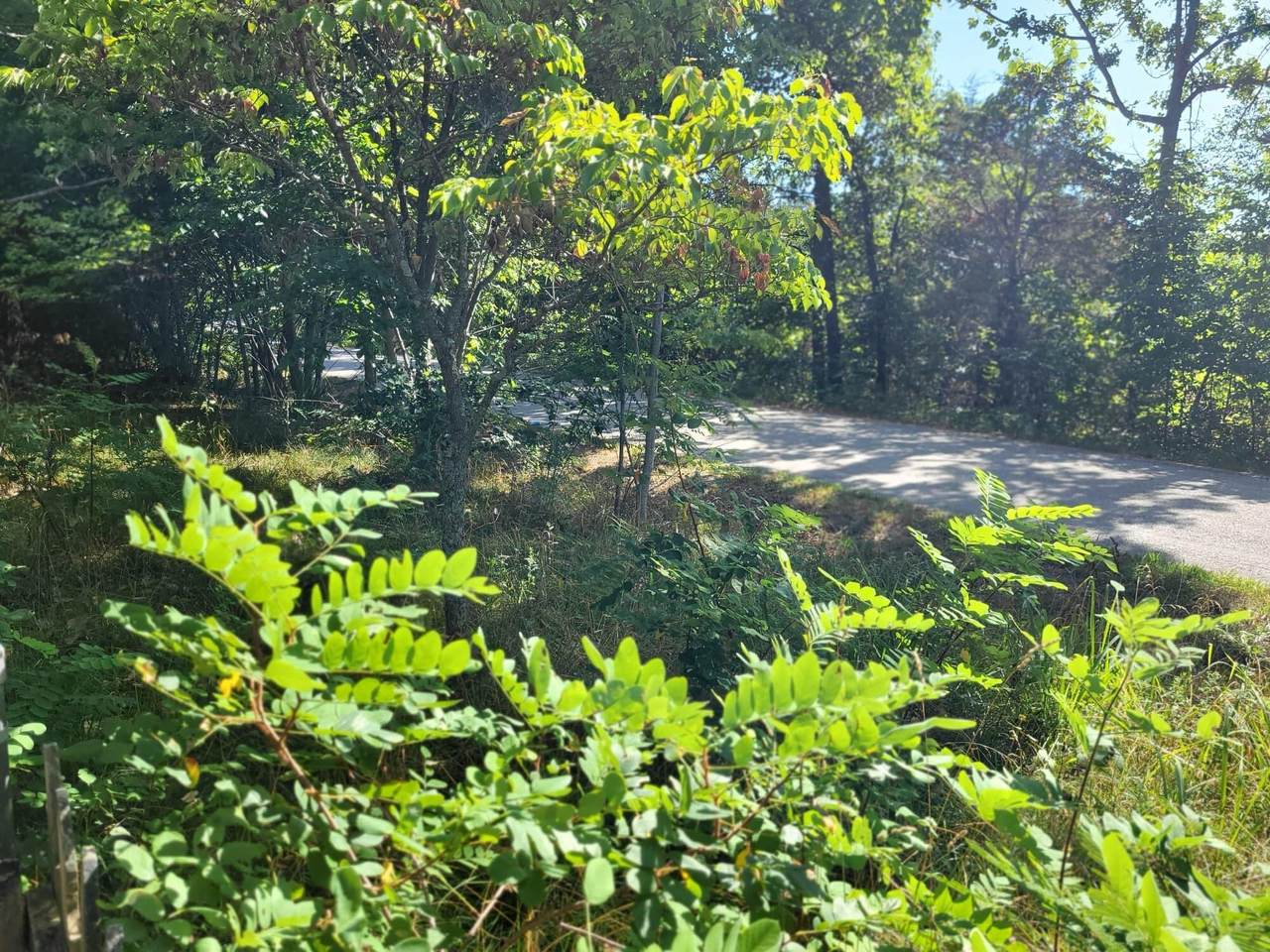 5261 County Road 3200 - Photo 1