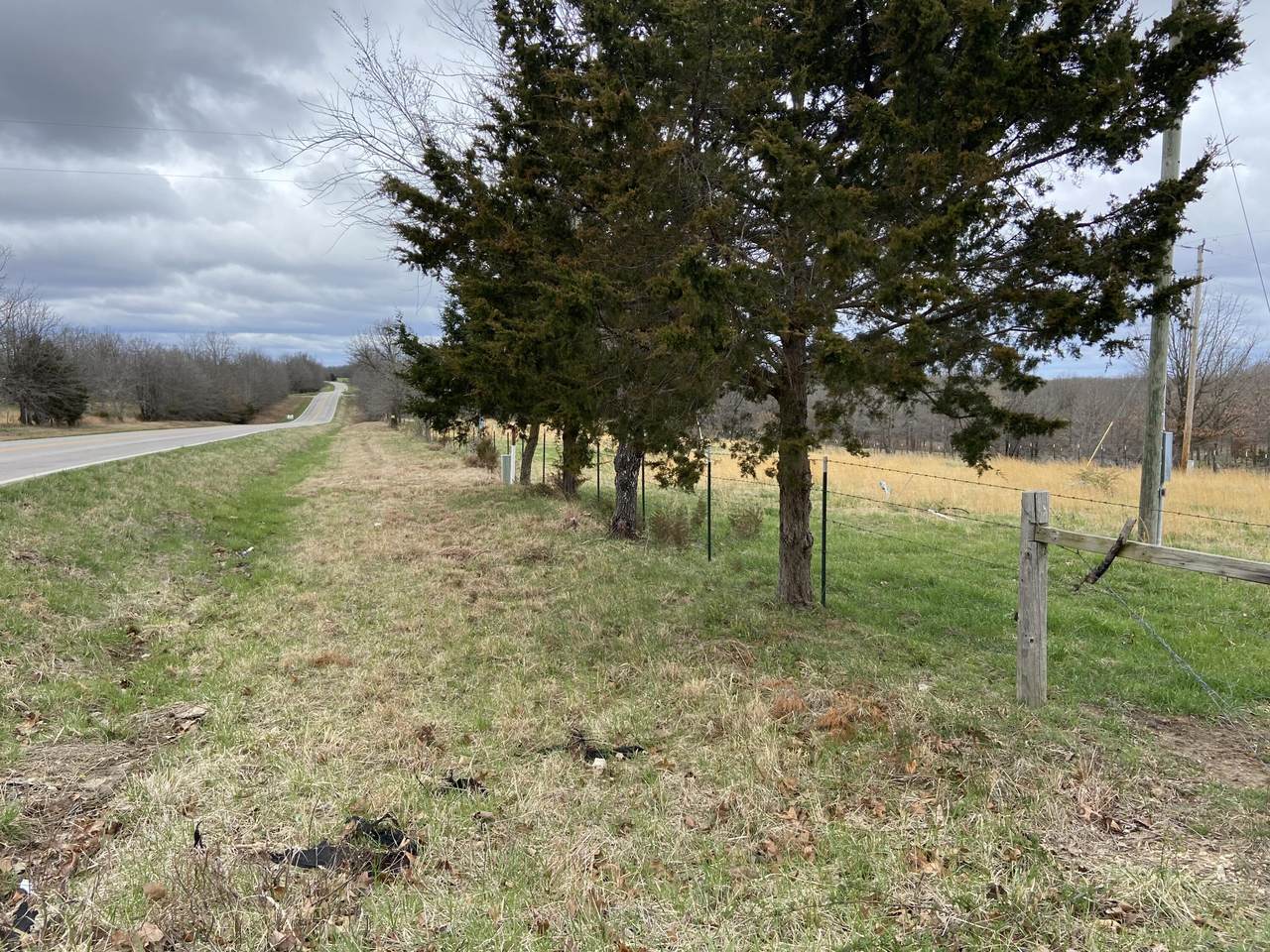 10675 Poplar Road - Photo 1