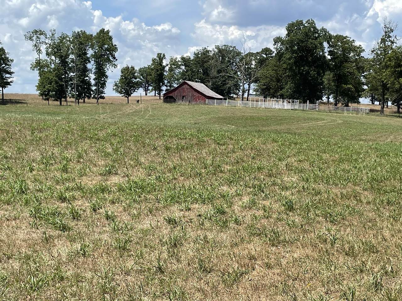 17737 County Road 427 - Photo 1