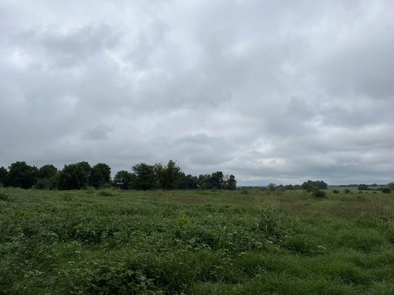 2621 Farm Rd 45 - Photo 1