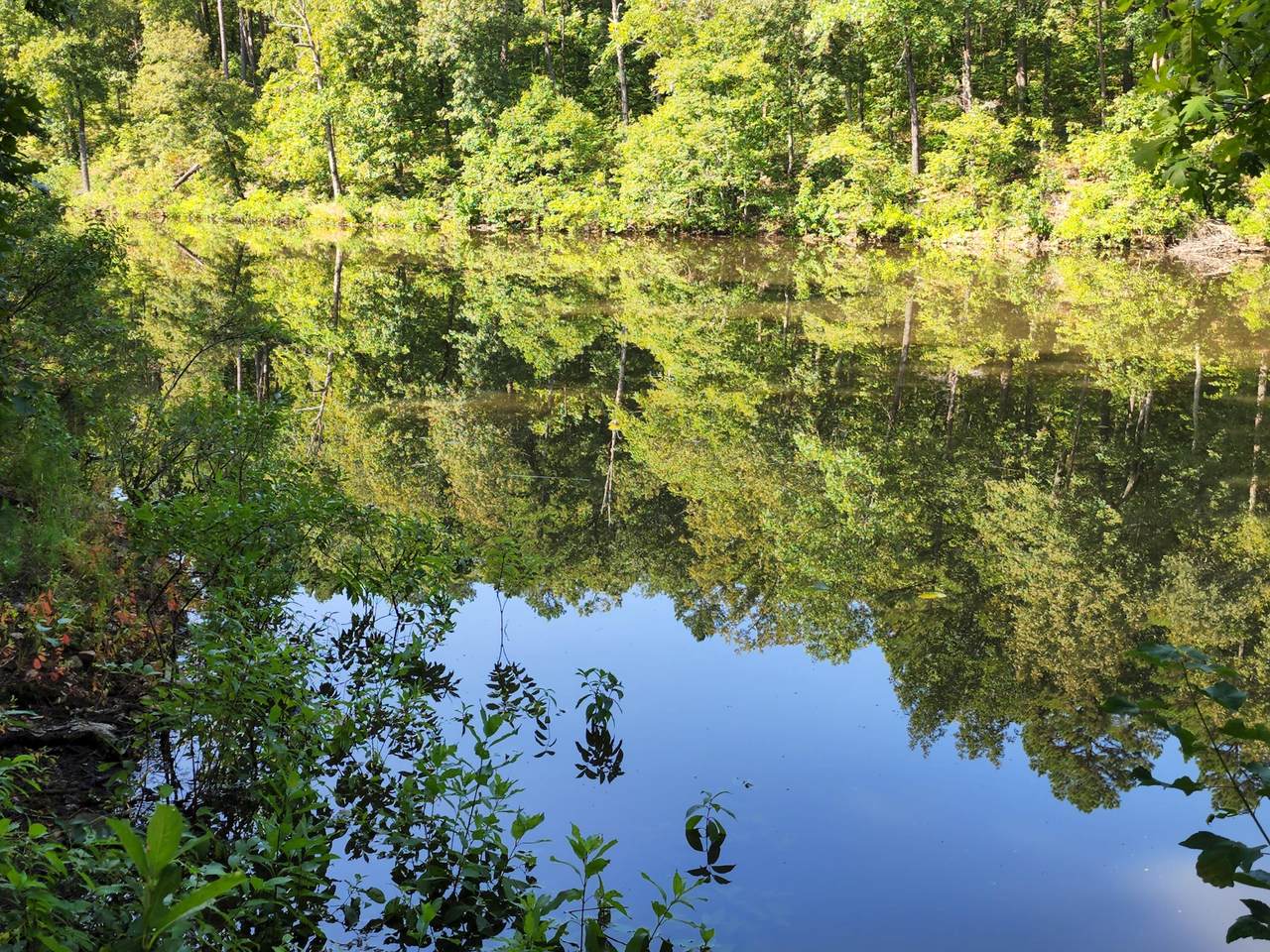 12100 Bell Road - Photo 1