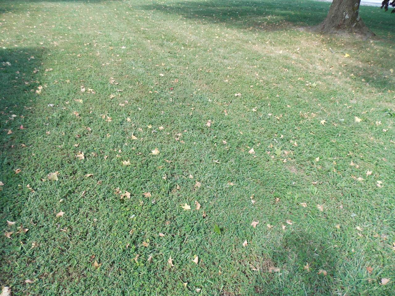 000-Lot 1 Highway 14 Drive - Photo 1