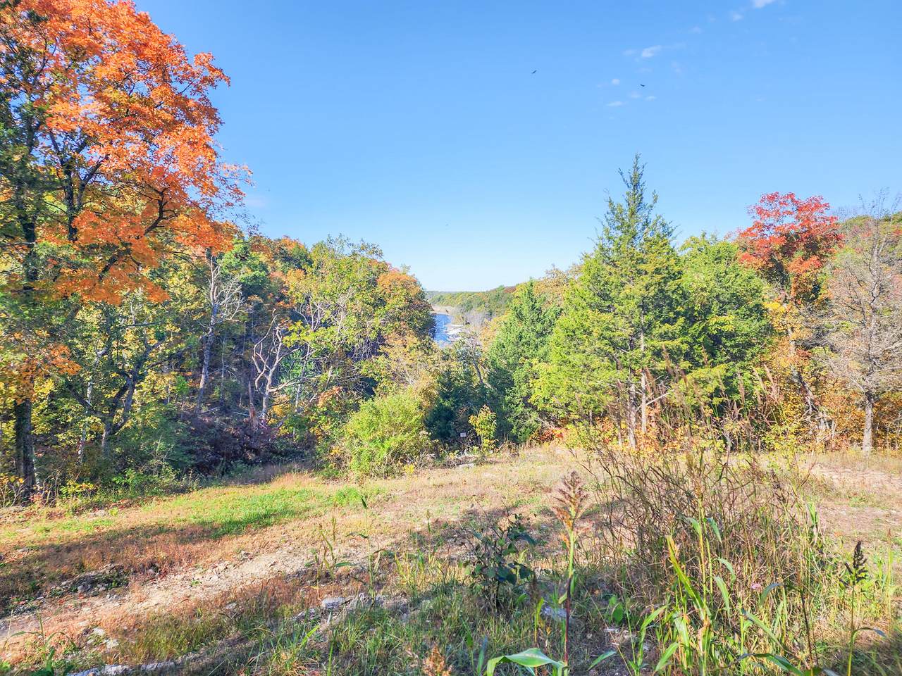 25960 Willow Road - Photo 1