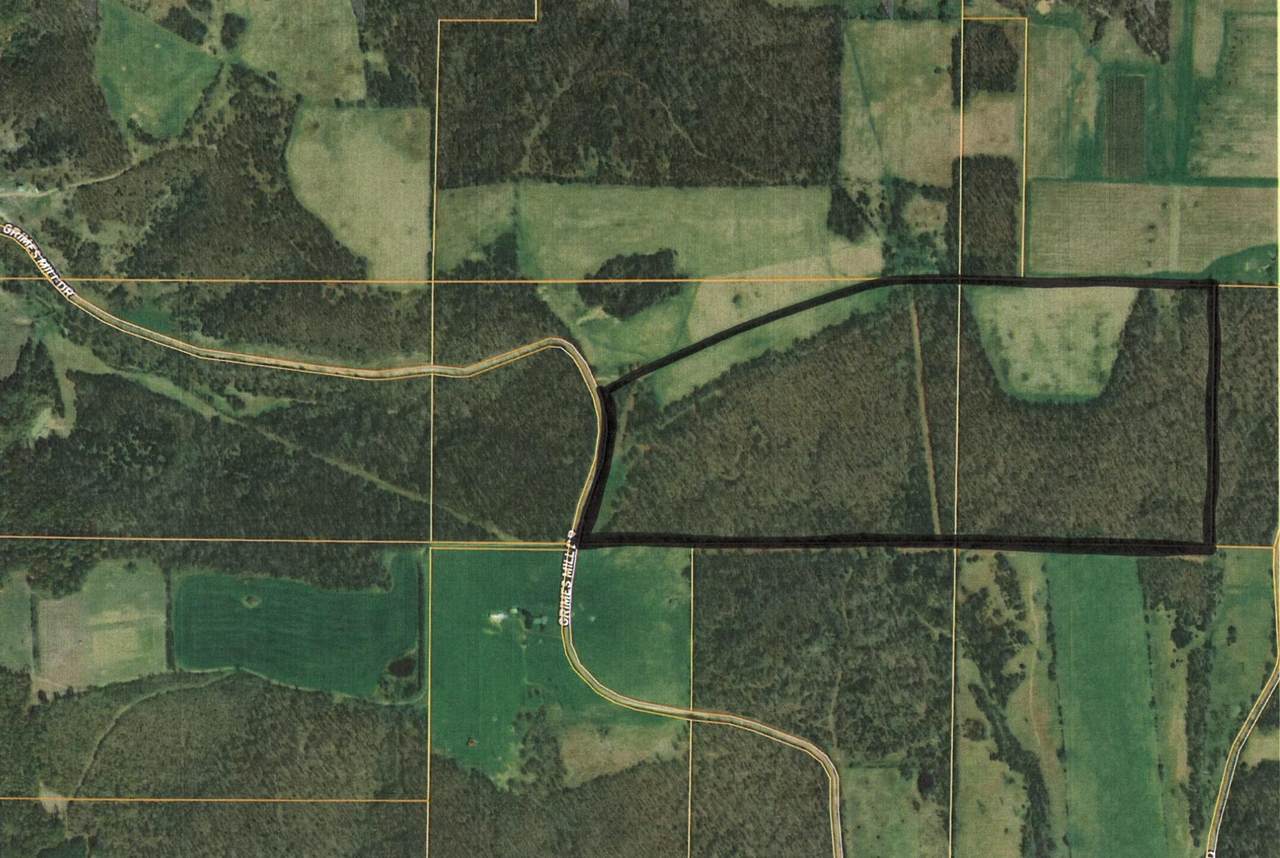 000 Grimes Mill Road - Photo 1