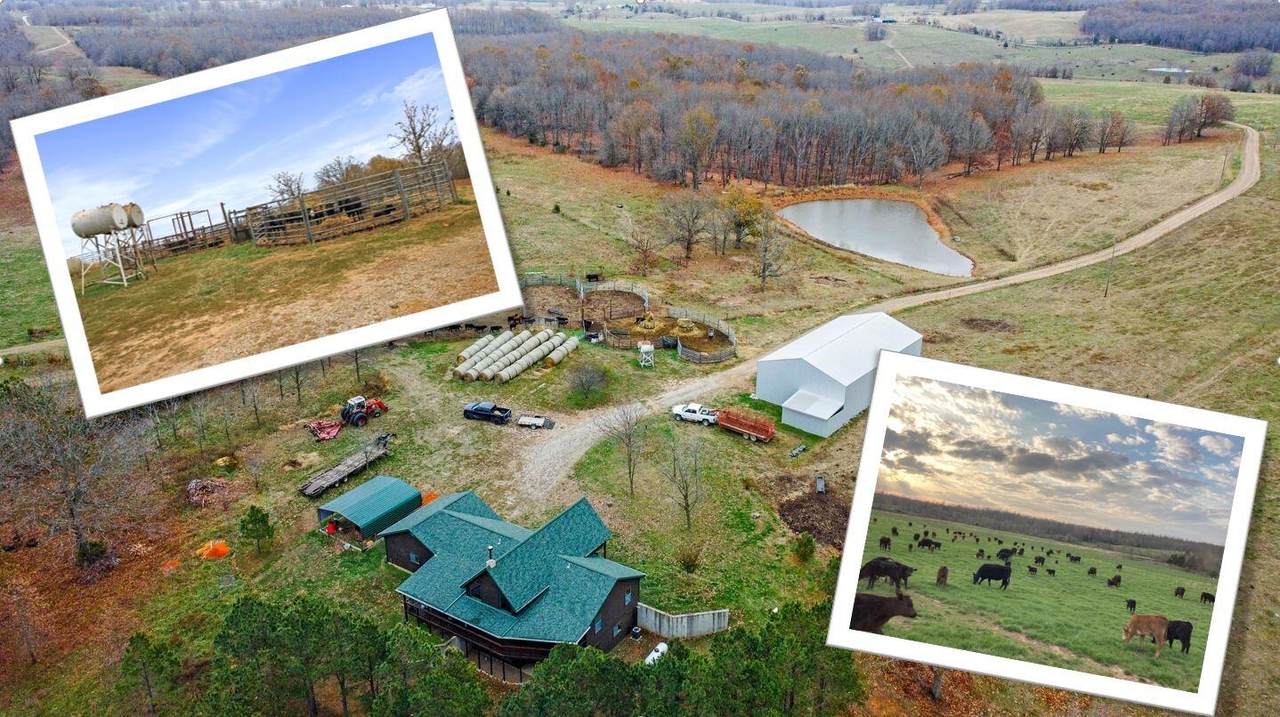 4301-Lot 4 County Road 7640 - Photo 1