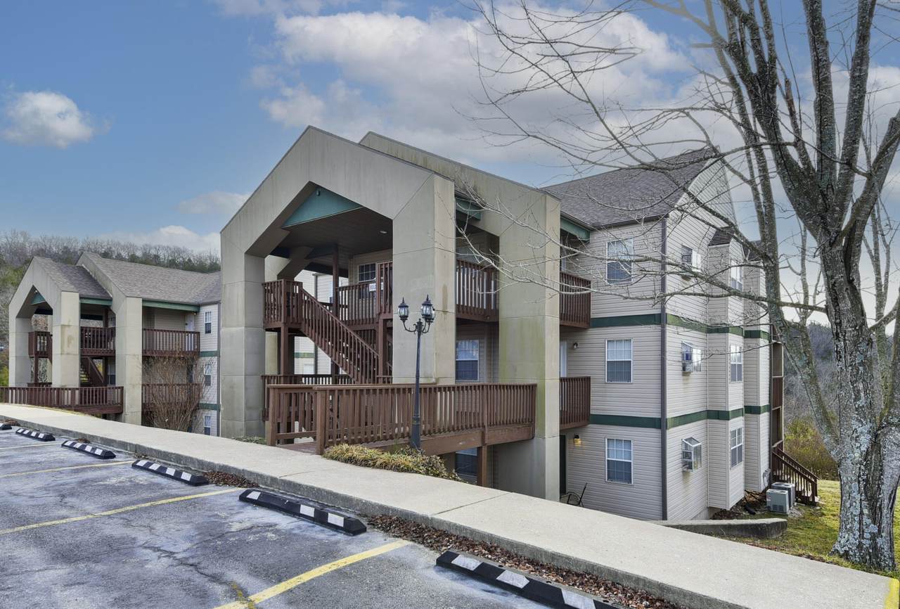 20 Gold Finch Drive - Photo 1