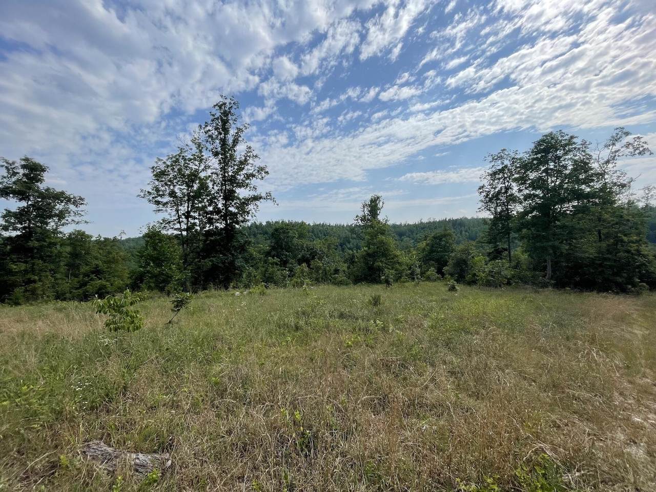 000 County Road 412, Eminence, MO 65466 (MLS 60245334) United Country Missouri Ozarks Realty Inc