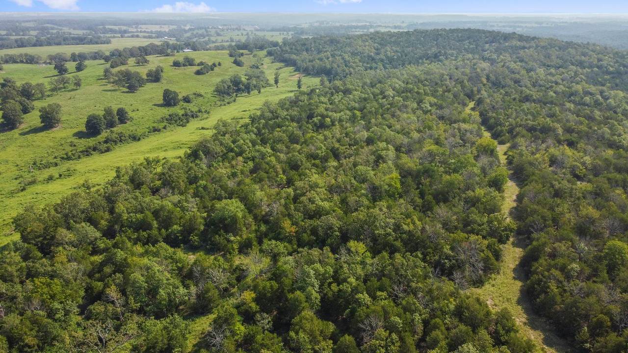 000 County Road 902, Theodosia, MO 65761 (MLS 60250319) United