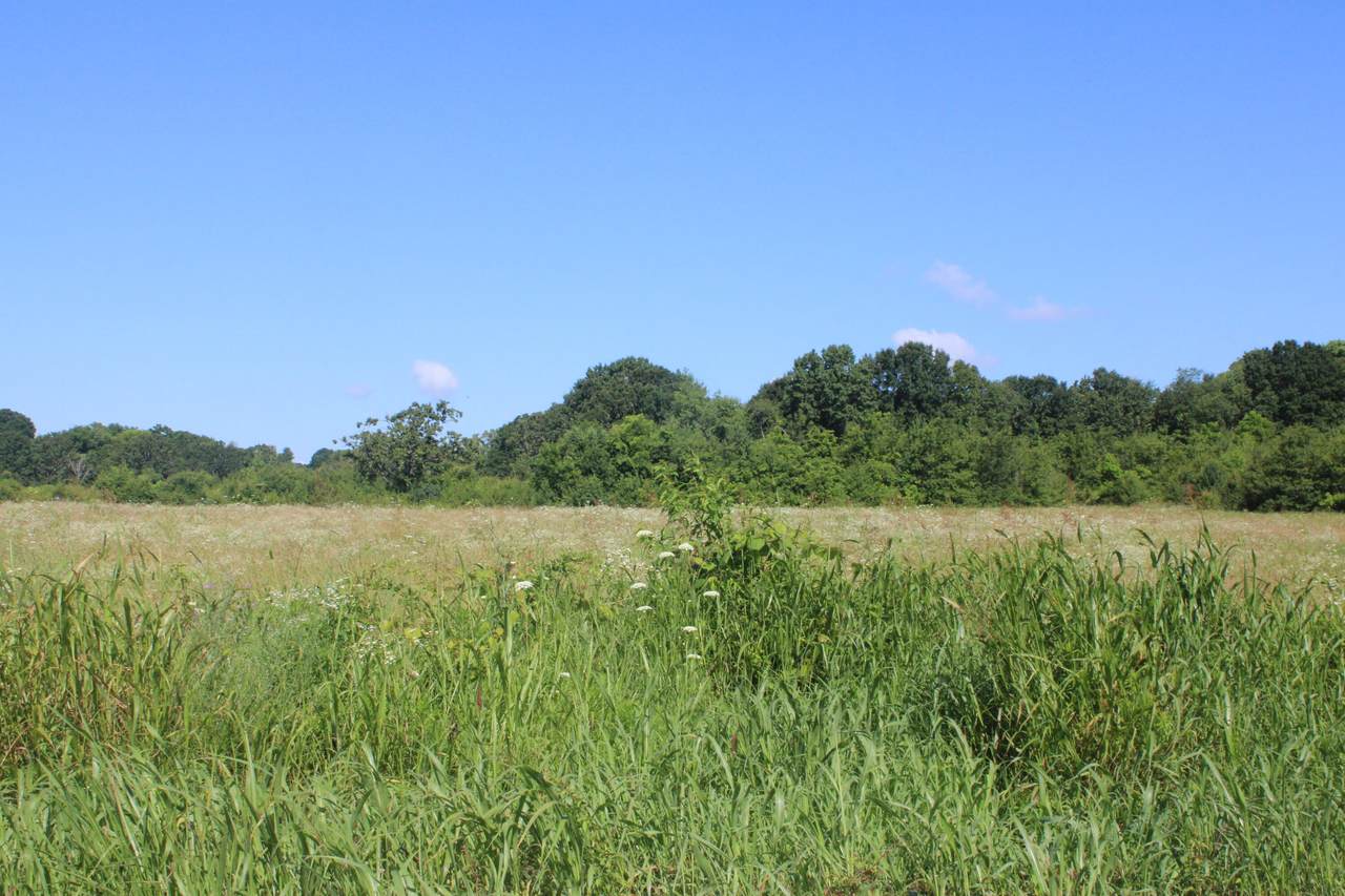 000 Lanton Road - Photo 1