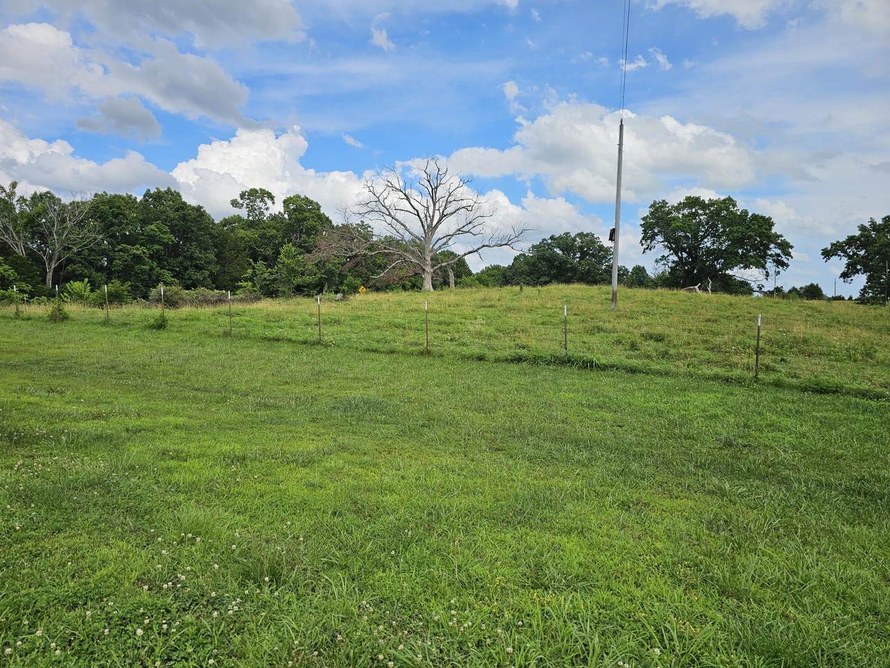 https://bt-photos.global.ssl.fastly.net/springmo/1280_boomver_1_60299109-2.jpg