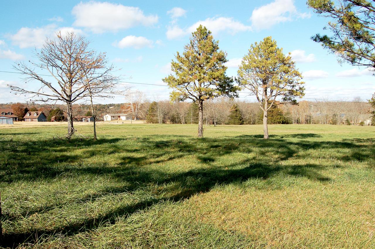 Lot 13 Kicking Mule Lane - Photo 1