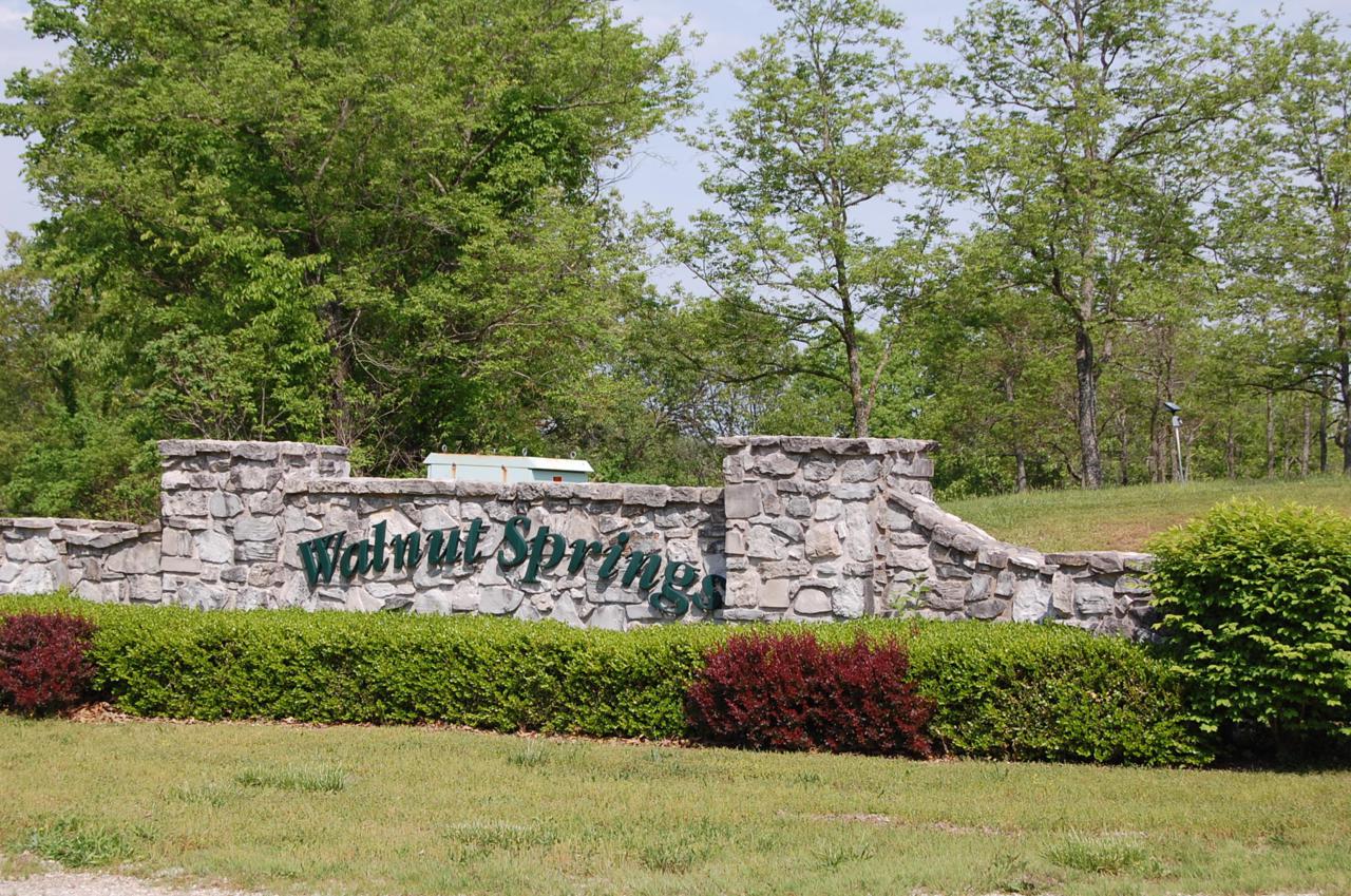 Lot 125 Walnut Springs Drive - Photo 1