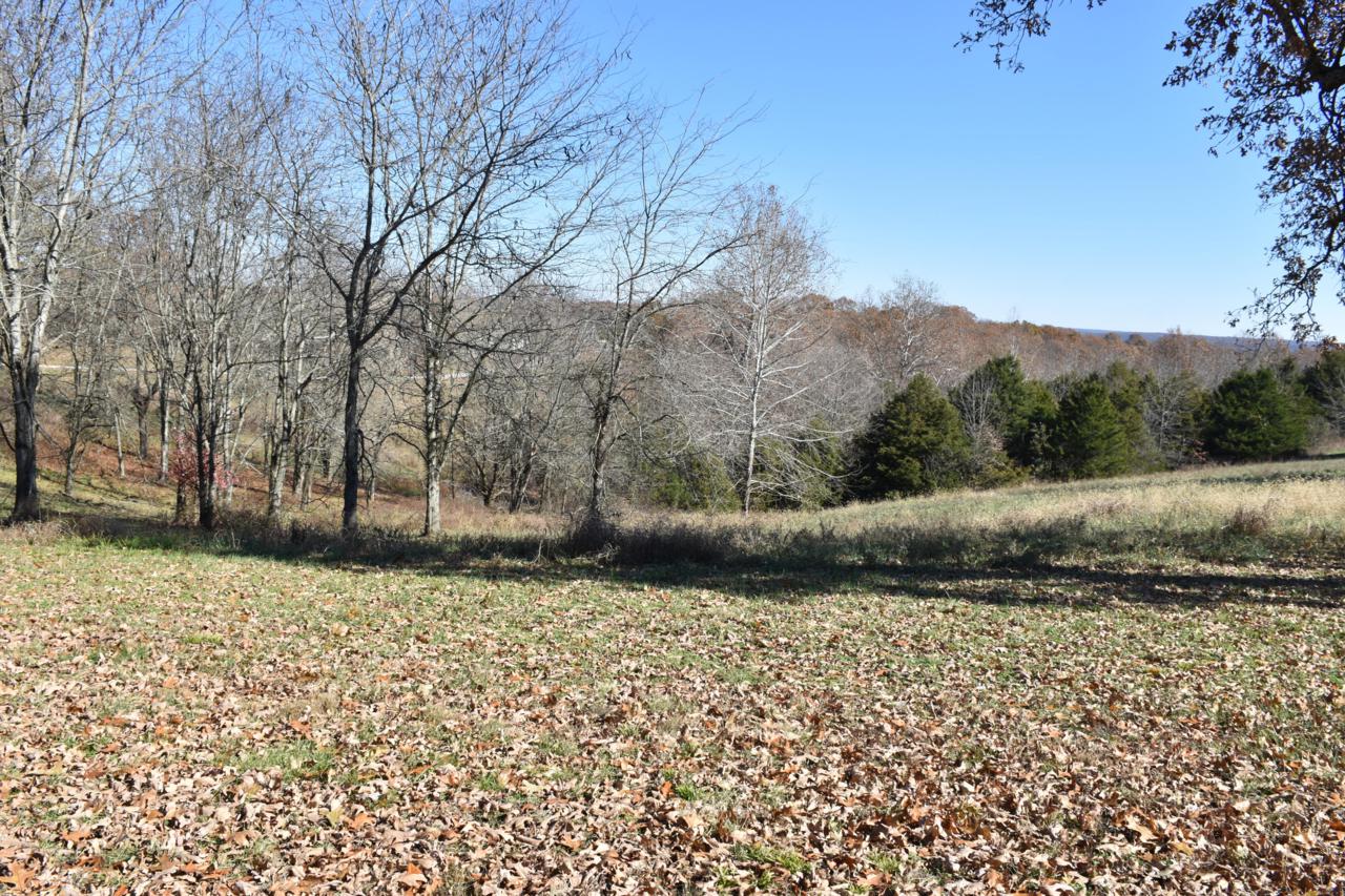 Lot 134 Panorama Drive - Photo 1