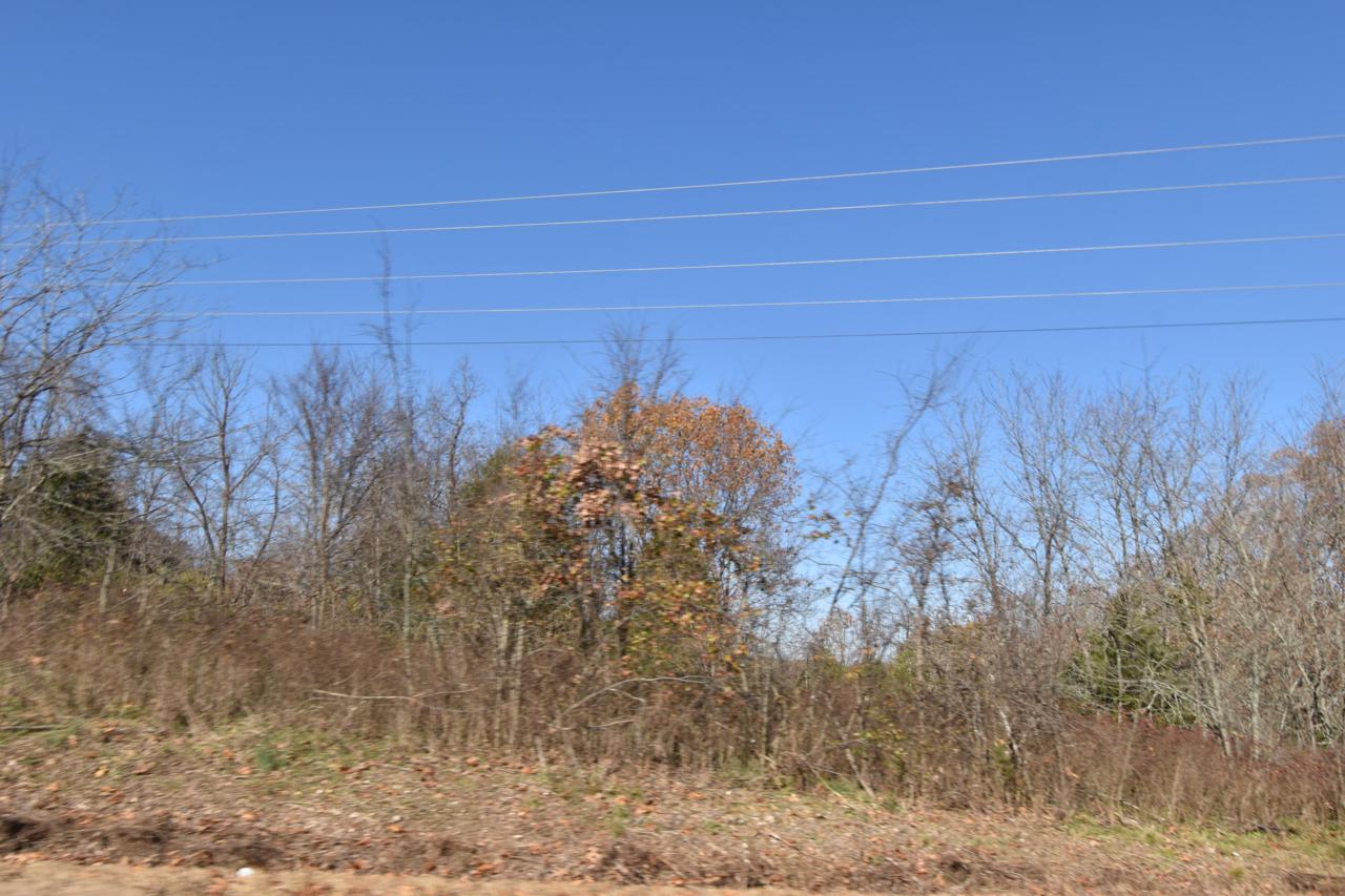 Lot 66 State Highway 173 - Photo 1