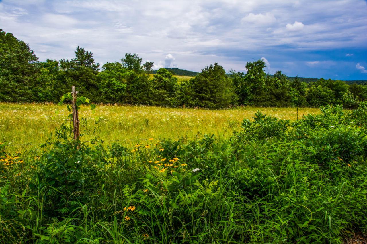 150 County Road 663 - Photo 1