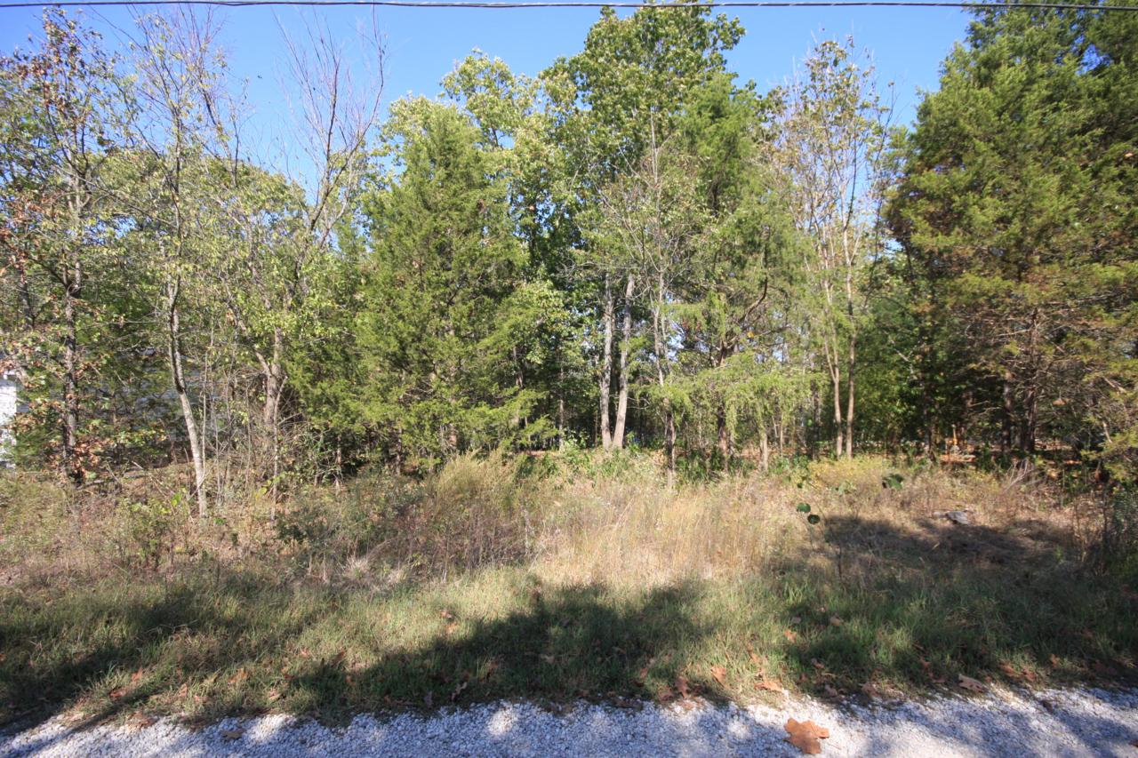 Lot 2 Lake Road Road - Photo 1