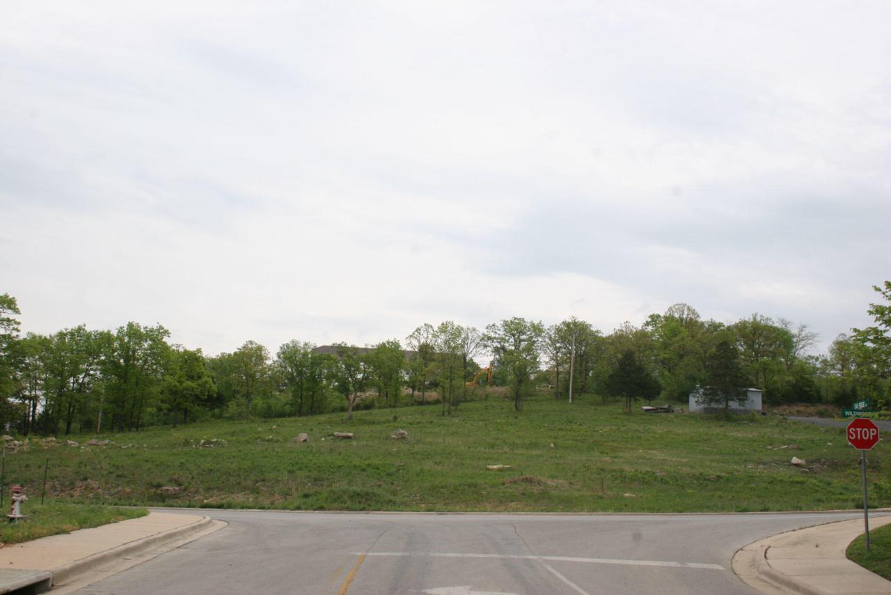 Lot 6 Wildwood Drive - Photo 1