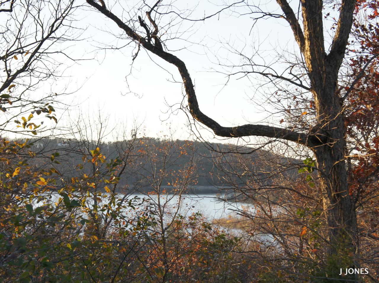 Lot 13a Indian Valley Road - Photo 1