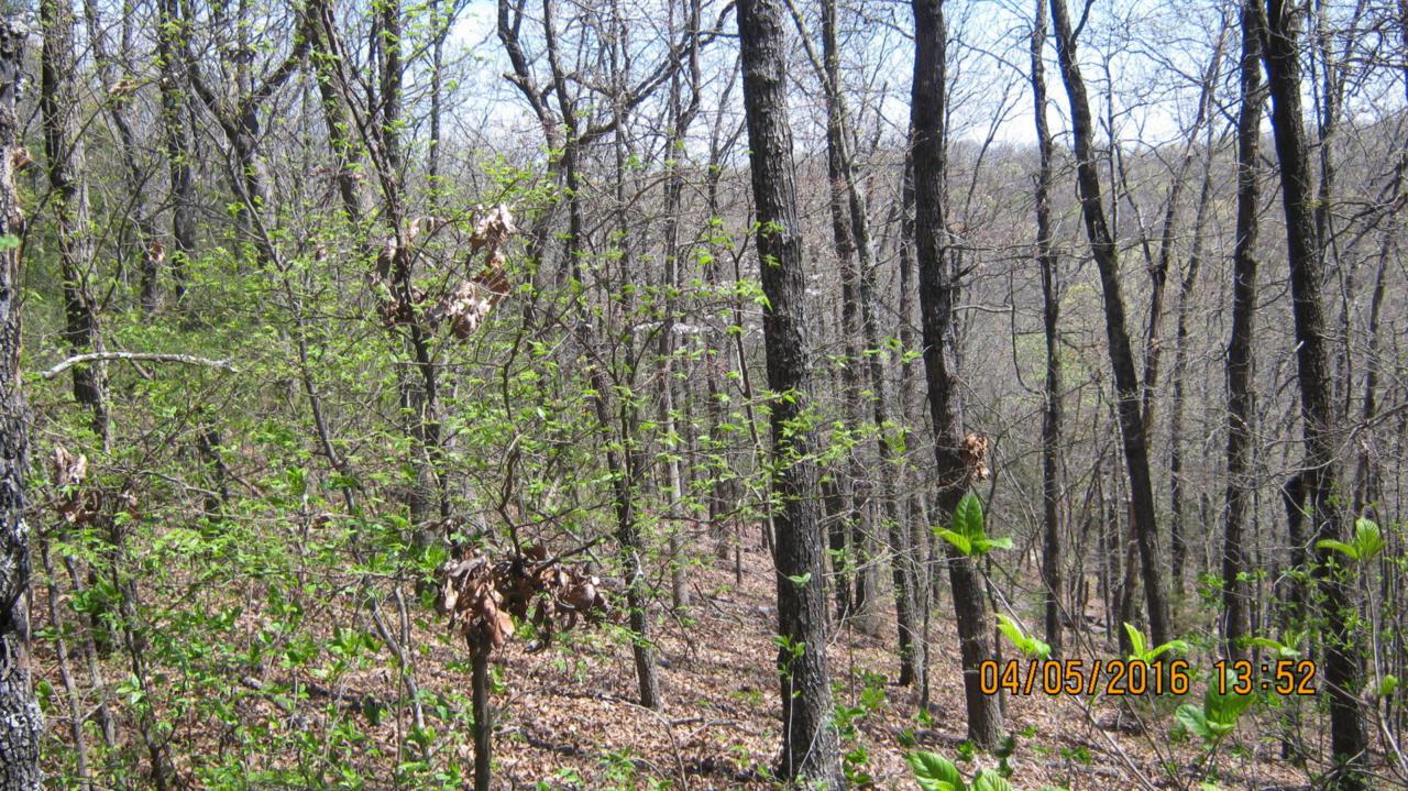 10 Acres Stallion Bluff Road - Photo 1