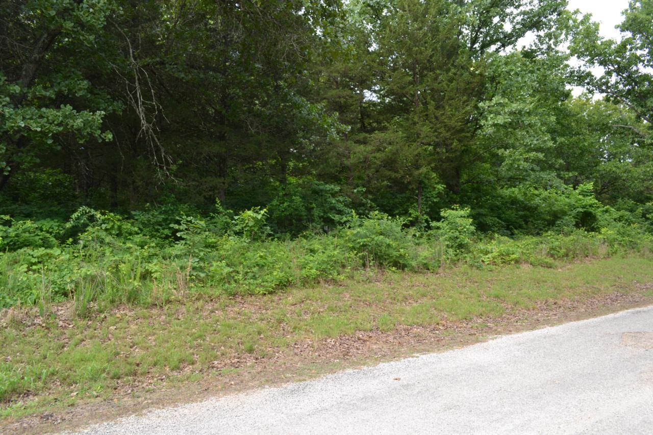 Lot 93 Green Cypress Lane - Photo 1