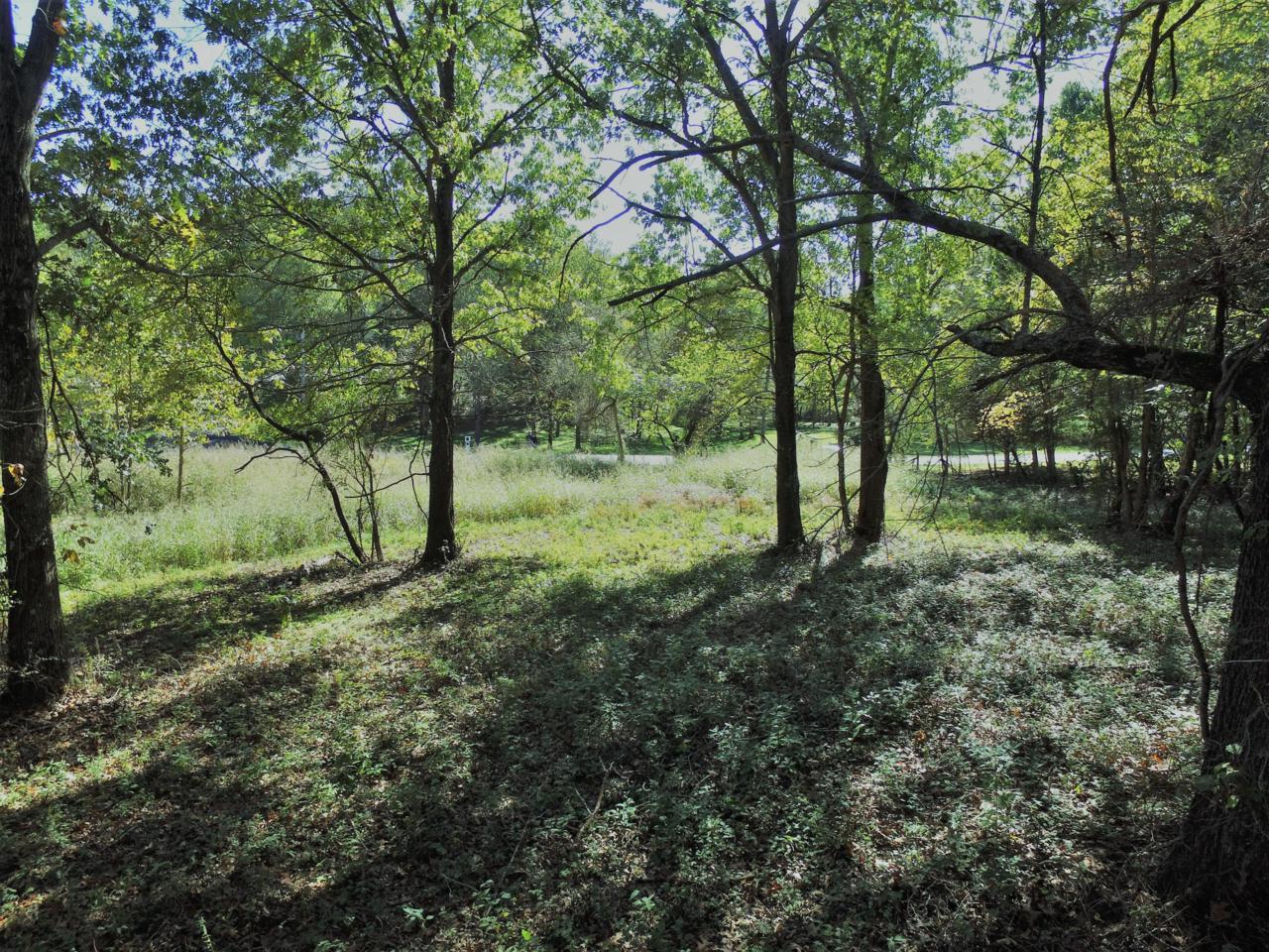 5679 Farm Rd 122 - Photo 1