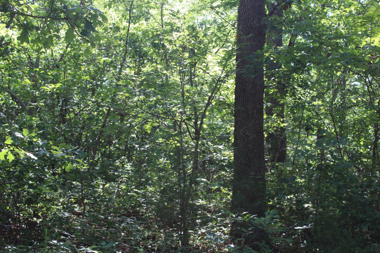 00000 County Road 153 - Photo 1