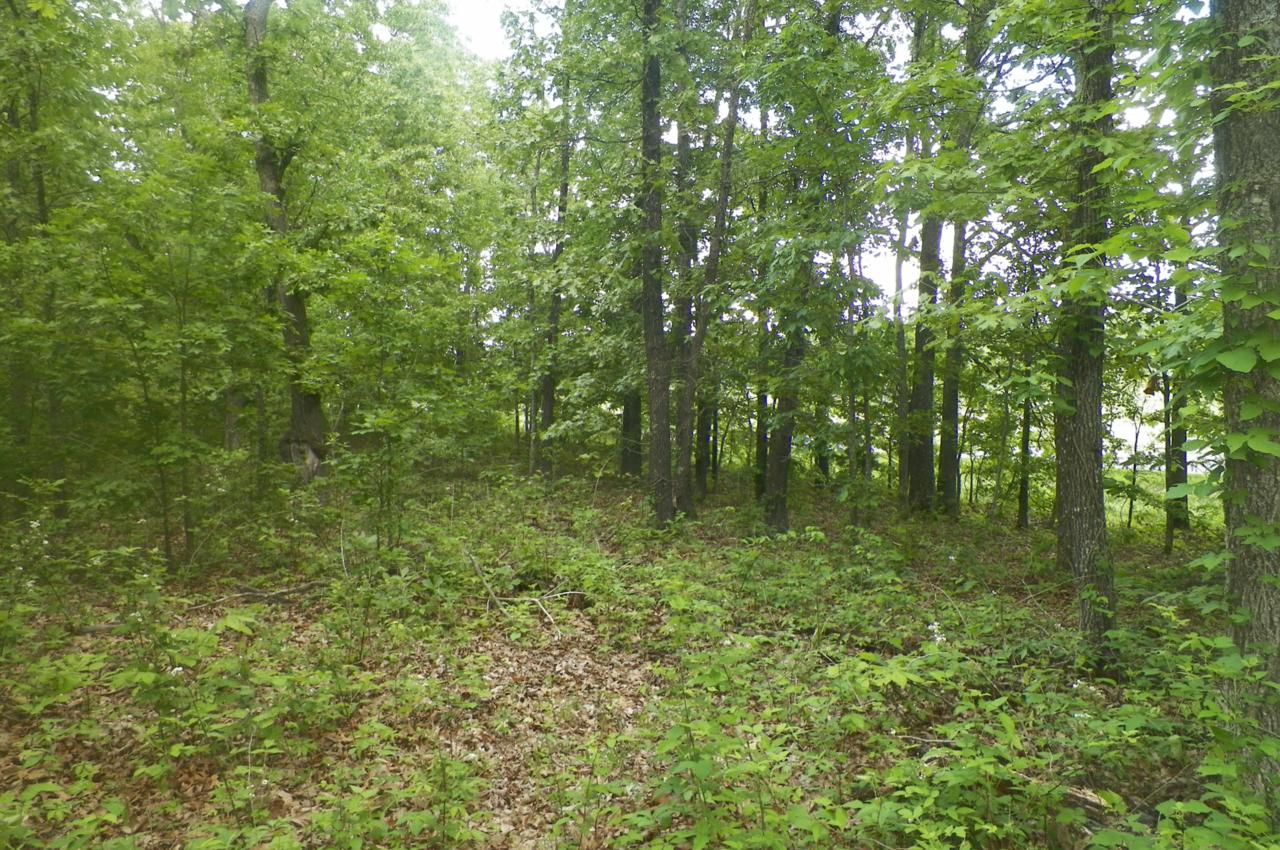 962 County Road 345 - Photo 1