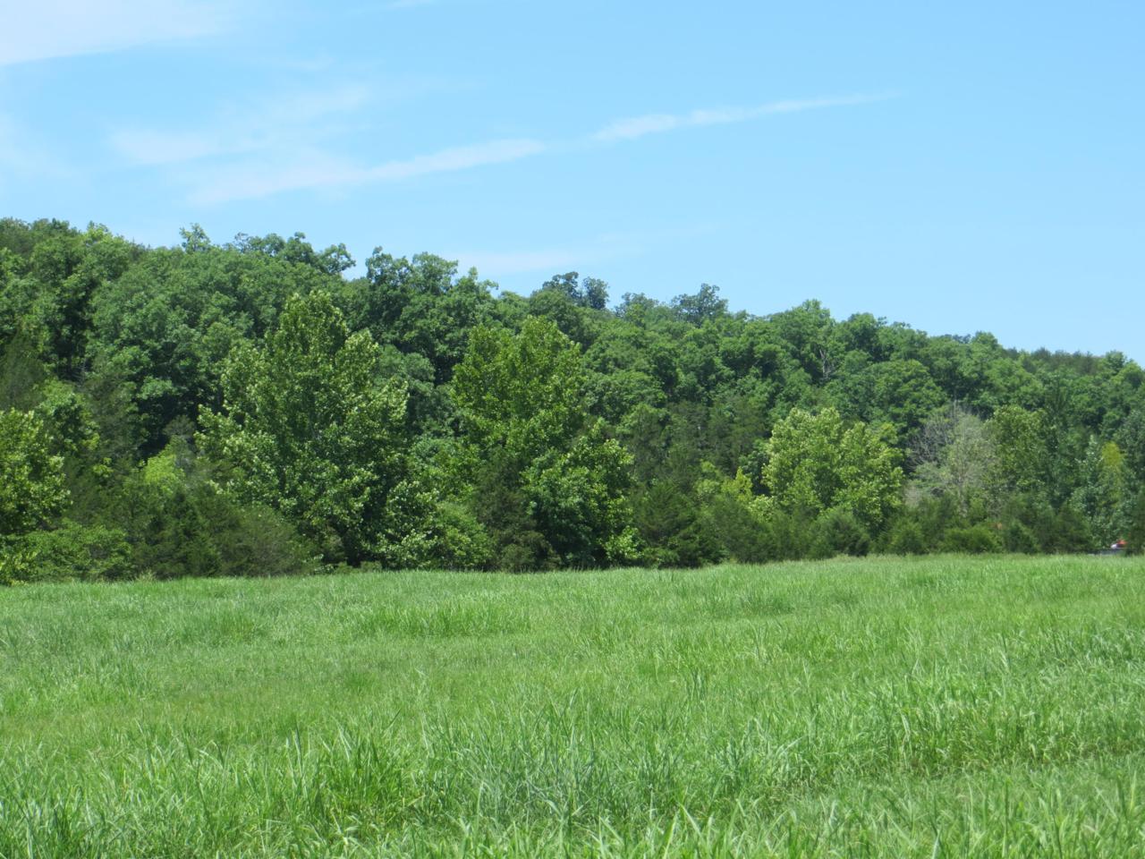 Lot 12 13 County Road 479 - Photo 1
