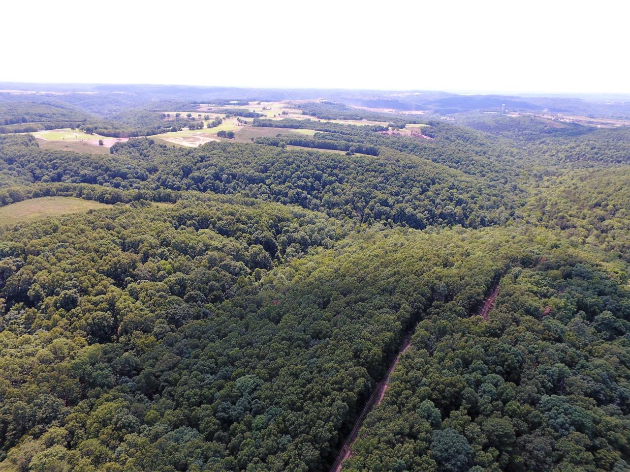 2748 State Hwy Jj - Photo 1