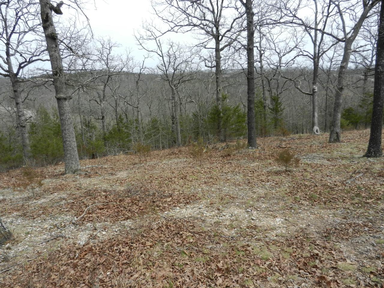 Lot 264 Vining Meadows Drive - Photo 1