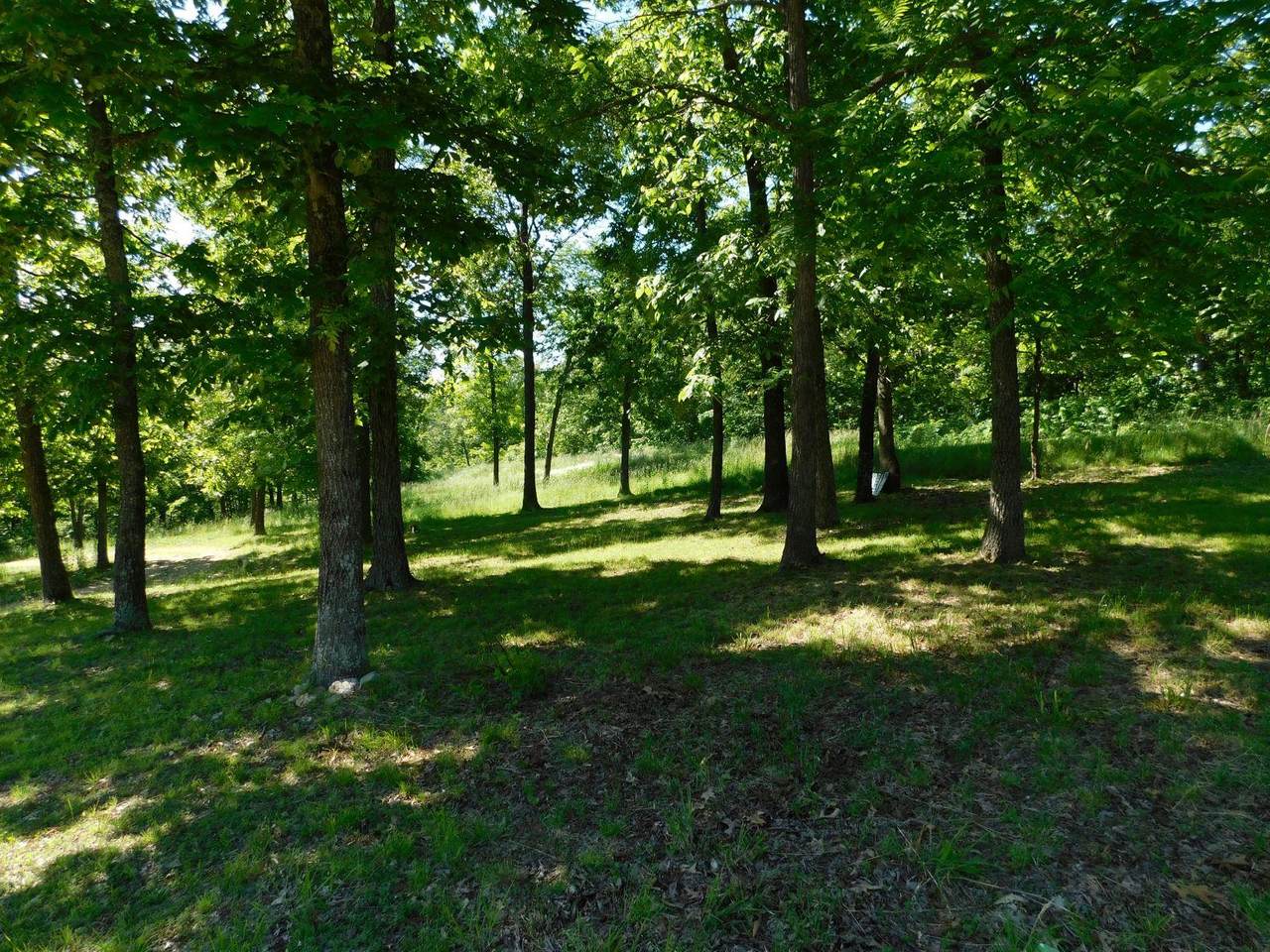 1288 Lucky Road - Photo 1